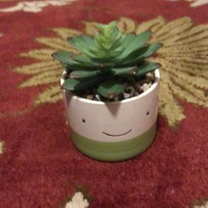 CUTIE decor plant